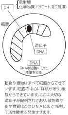 化学部室を取り込んだ時