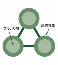 アルカリ性成分を弱酸性成分でくるみました！