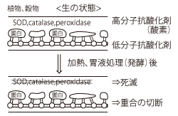 生の状態