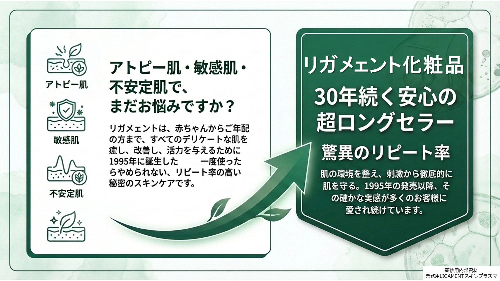 エステサロン業務用スキンプラズマ5ハンド複合機とは39-1LIGAMENT SkinPlasma