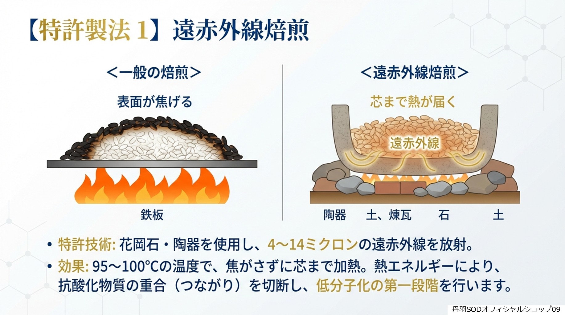 丹羽スペシャルSOD　丹羽SODとは　丹羽SODって何09