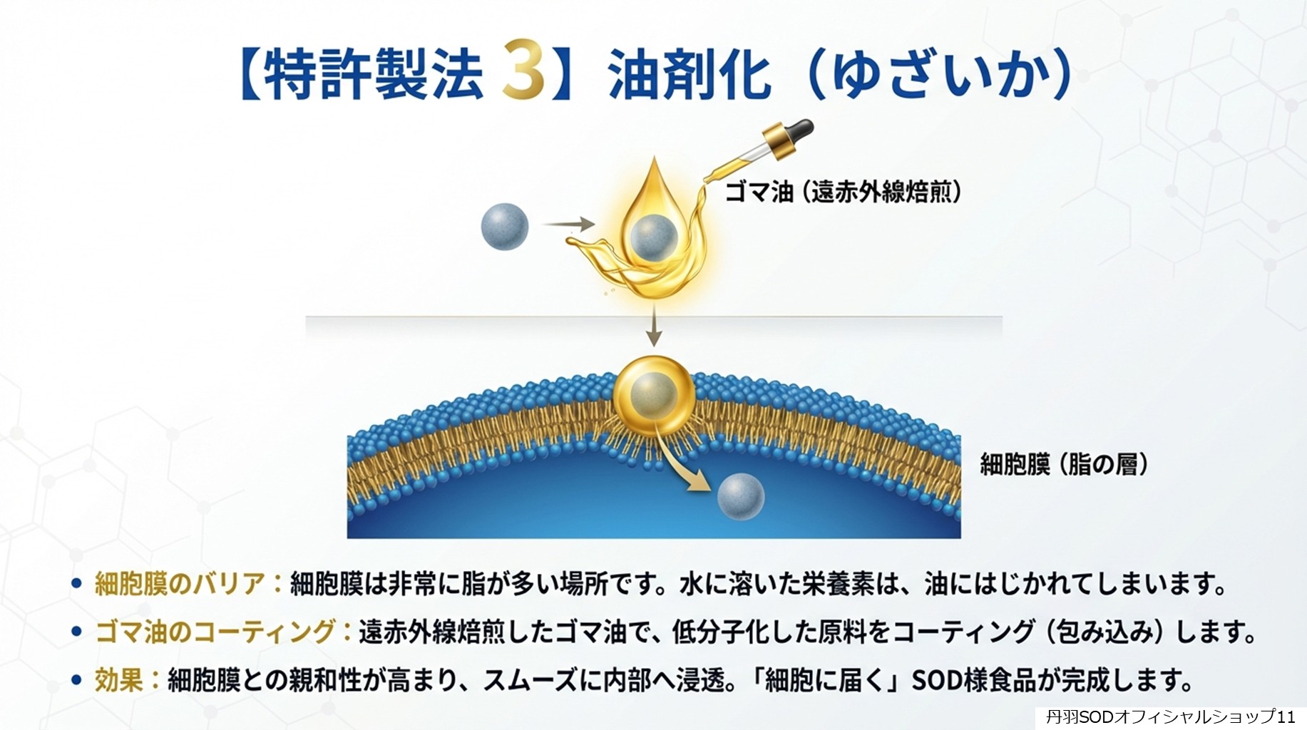 丹羽スペシャルSOD　丹羽SODとは　丹羽SODって何11